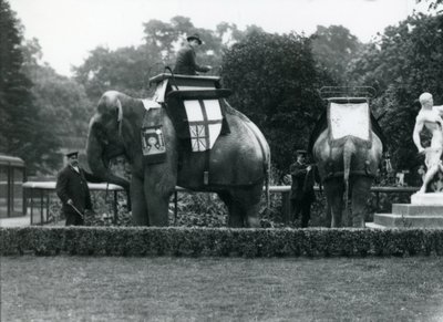 Riding Elephants Bedecked for the Peace Day Celebrations by Frederick William Bond
